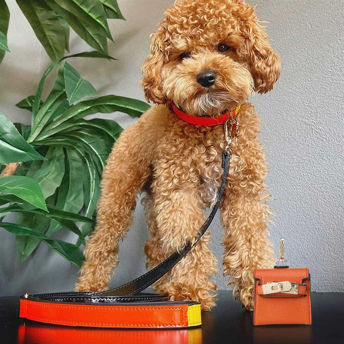 Poop Bag Dispenser A773668