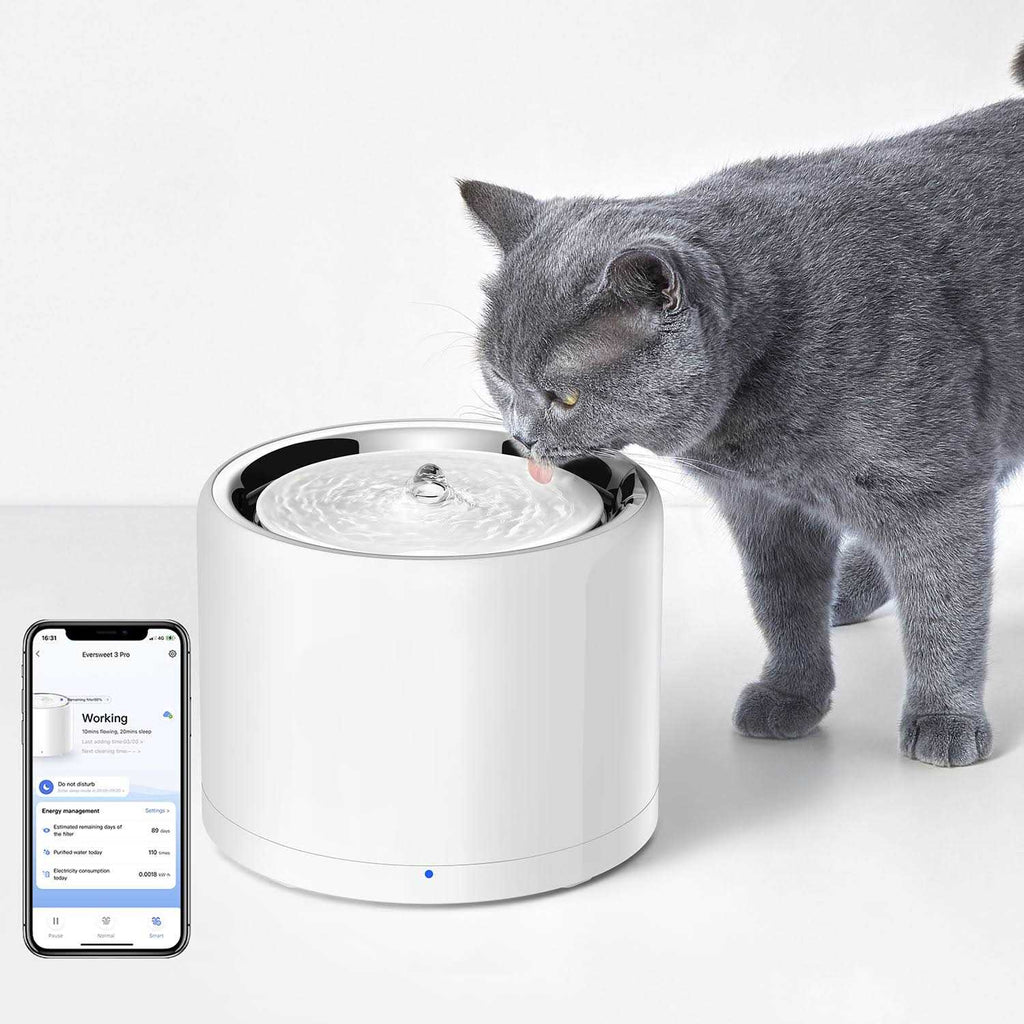 Pet Water Fountain K98884