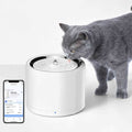 Pet Water Fountain K98884