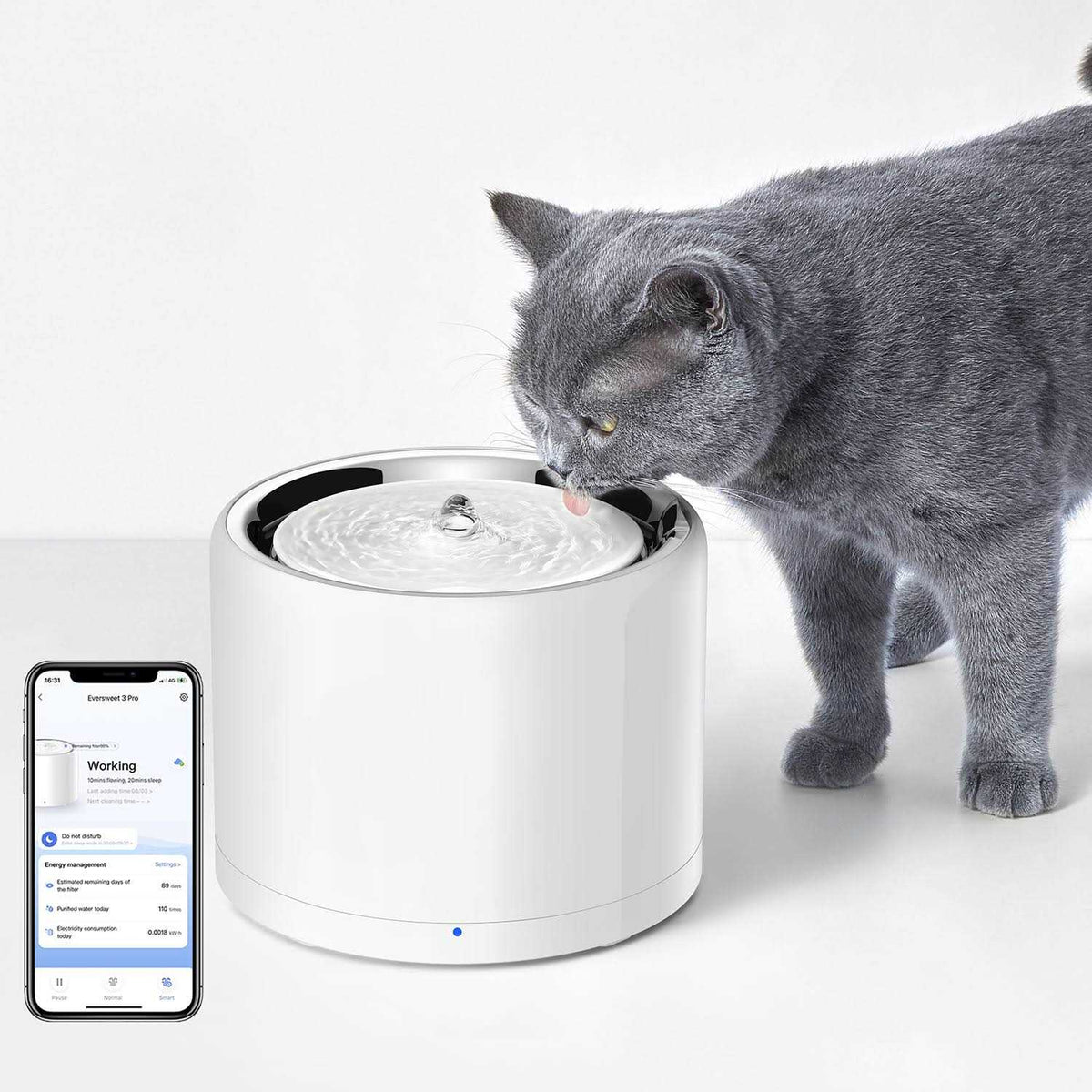 Pet Water Fountain K98884