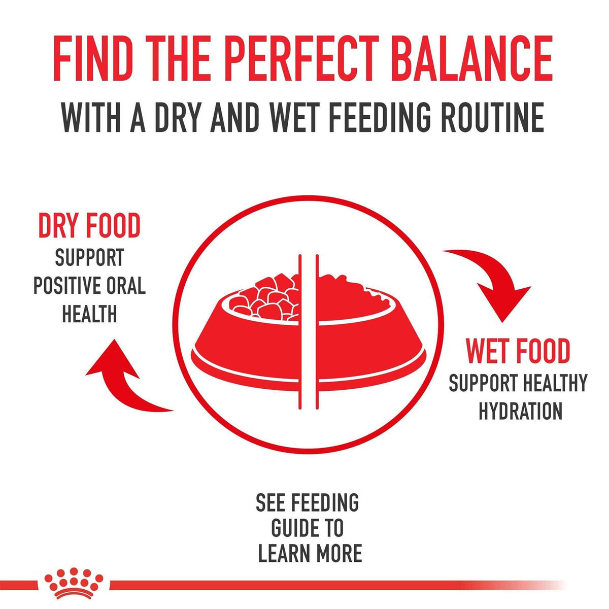 Medium Weight Care Dry Dog Food E586684