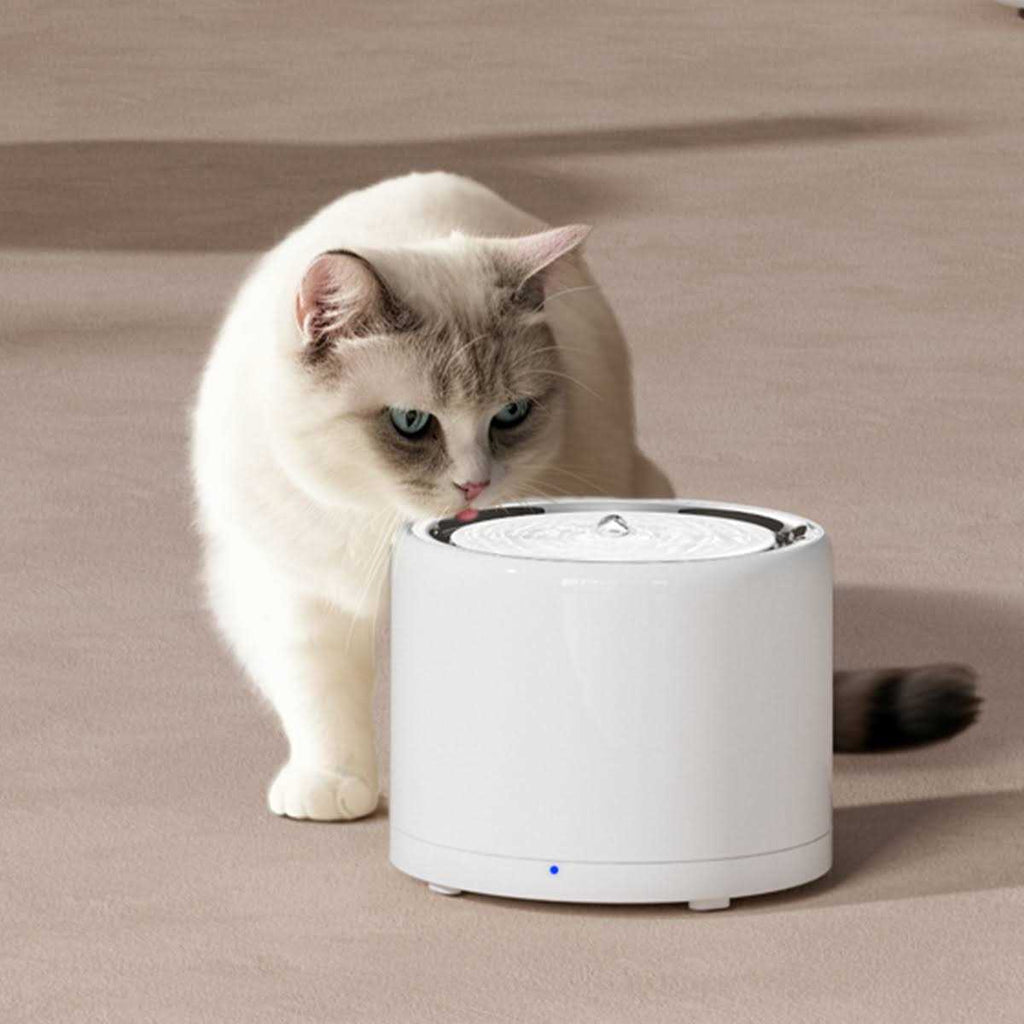 Pet Water Fountain K98884
