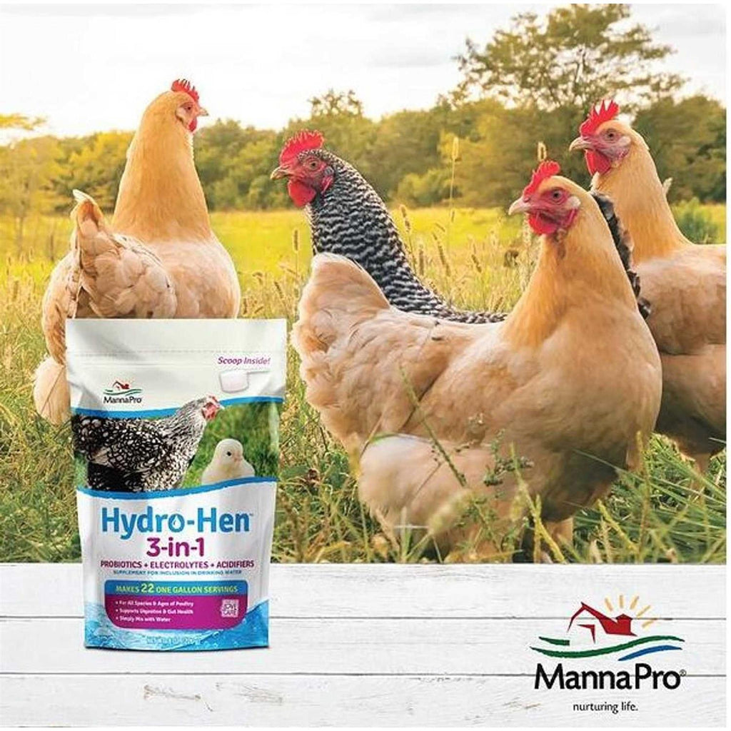 3-in-1 Supplement Q6806
