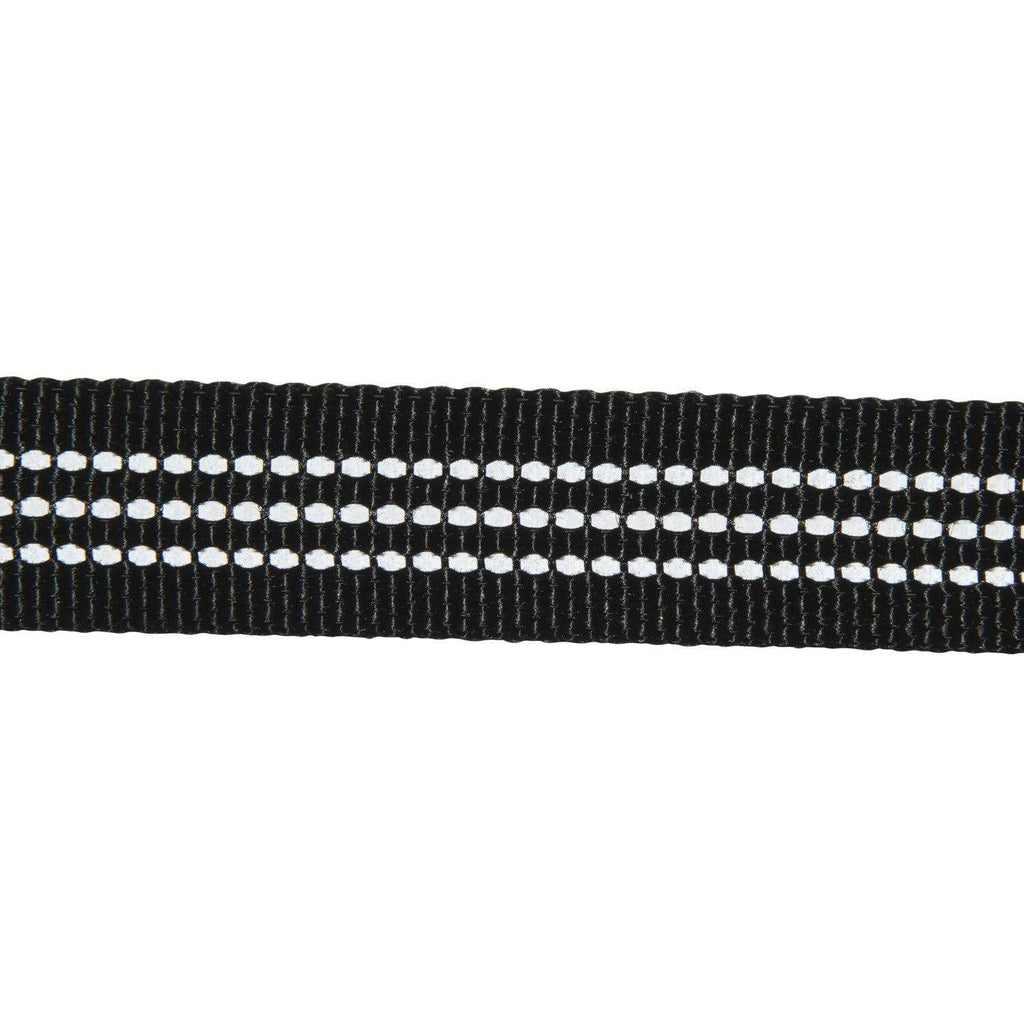 Dog Leash Z1305