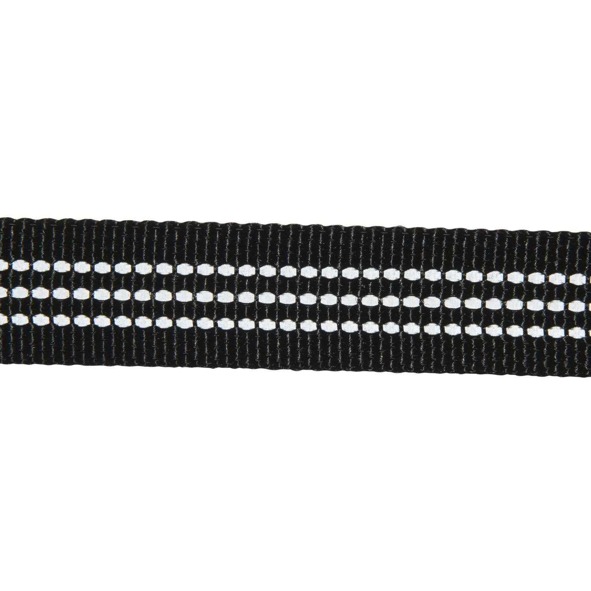Dog Leash Z1305