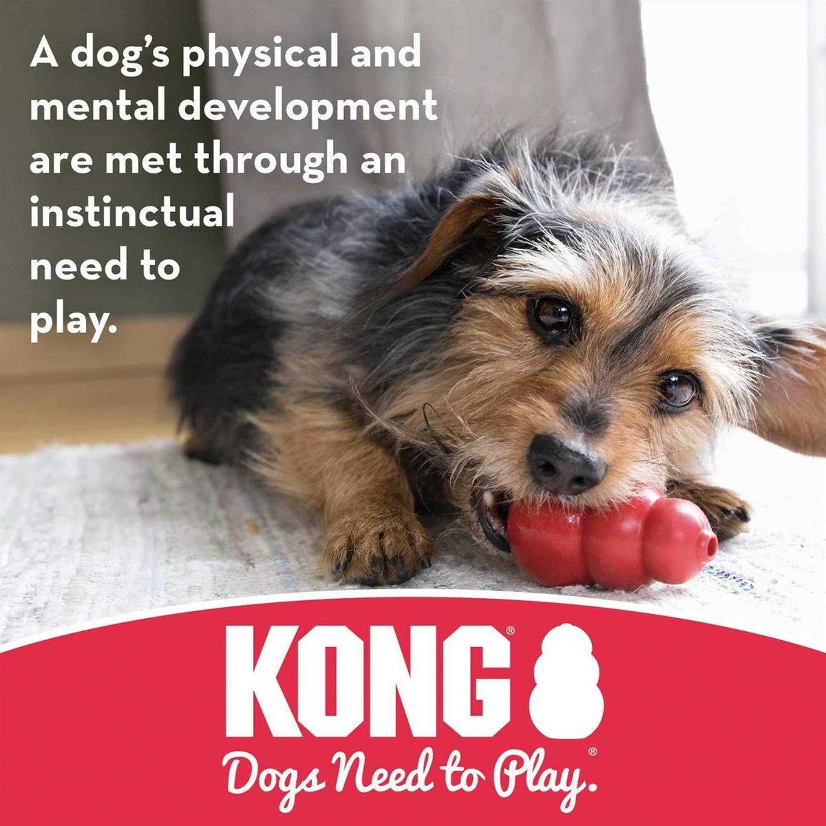 Dog Toy A8283