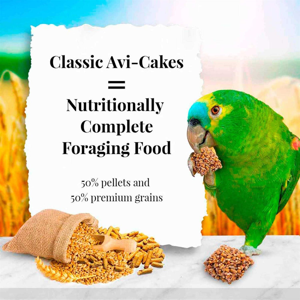 Parrot Food S79436