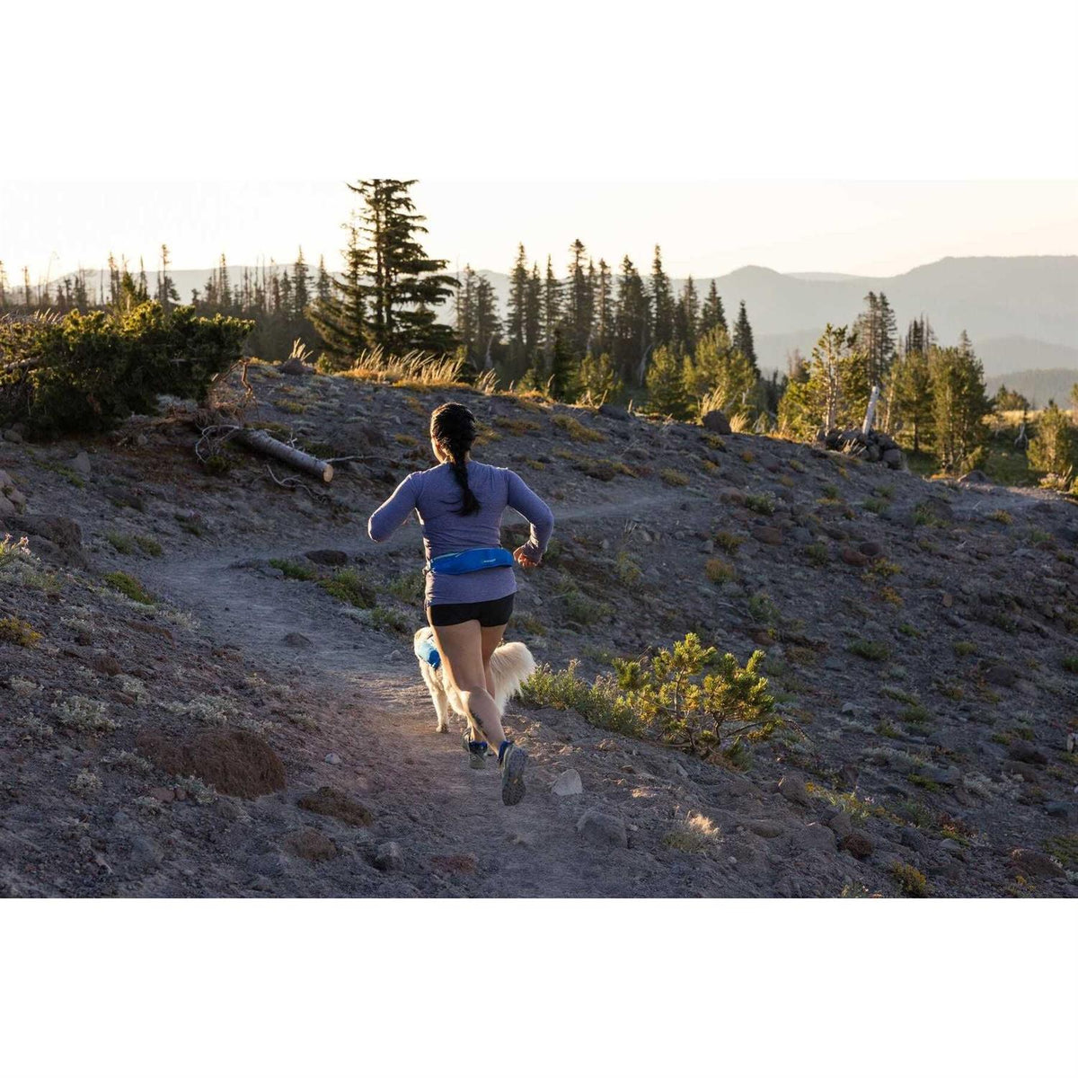Trail Runner Belt C20663