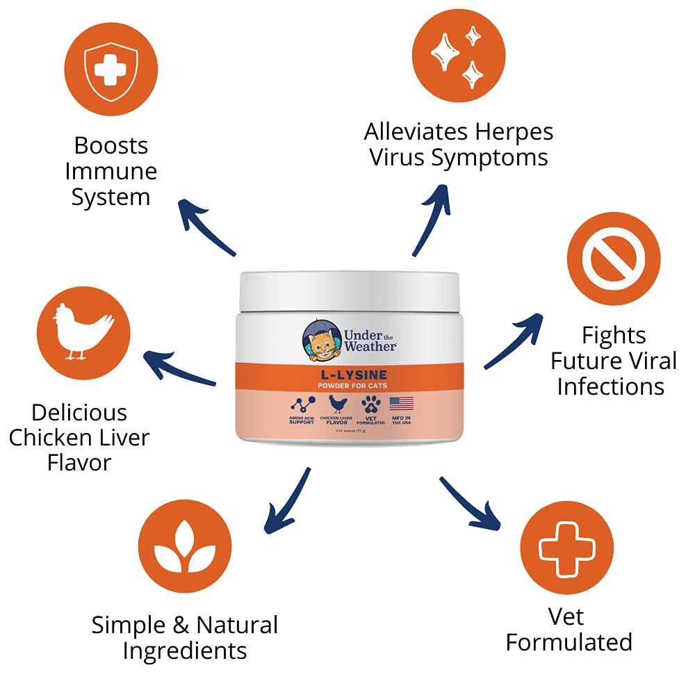 L Lysine Soft Chews E99253