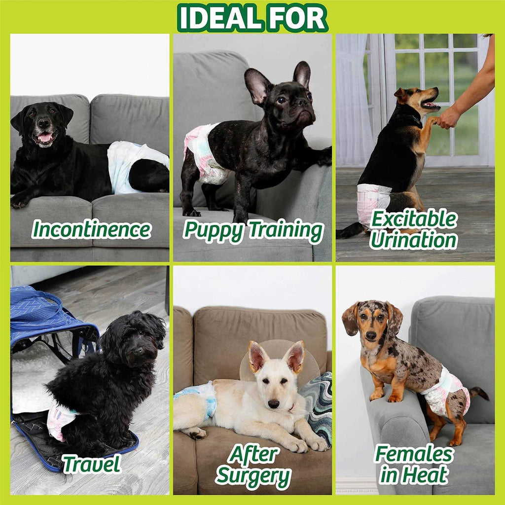 Disposable Male & Female Dog Diapers D657