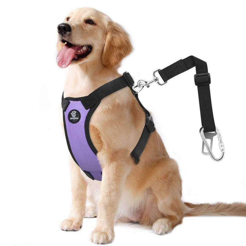 Adjustable Padded Mesh Dog Safety Vest Harness J560342