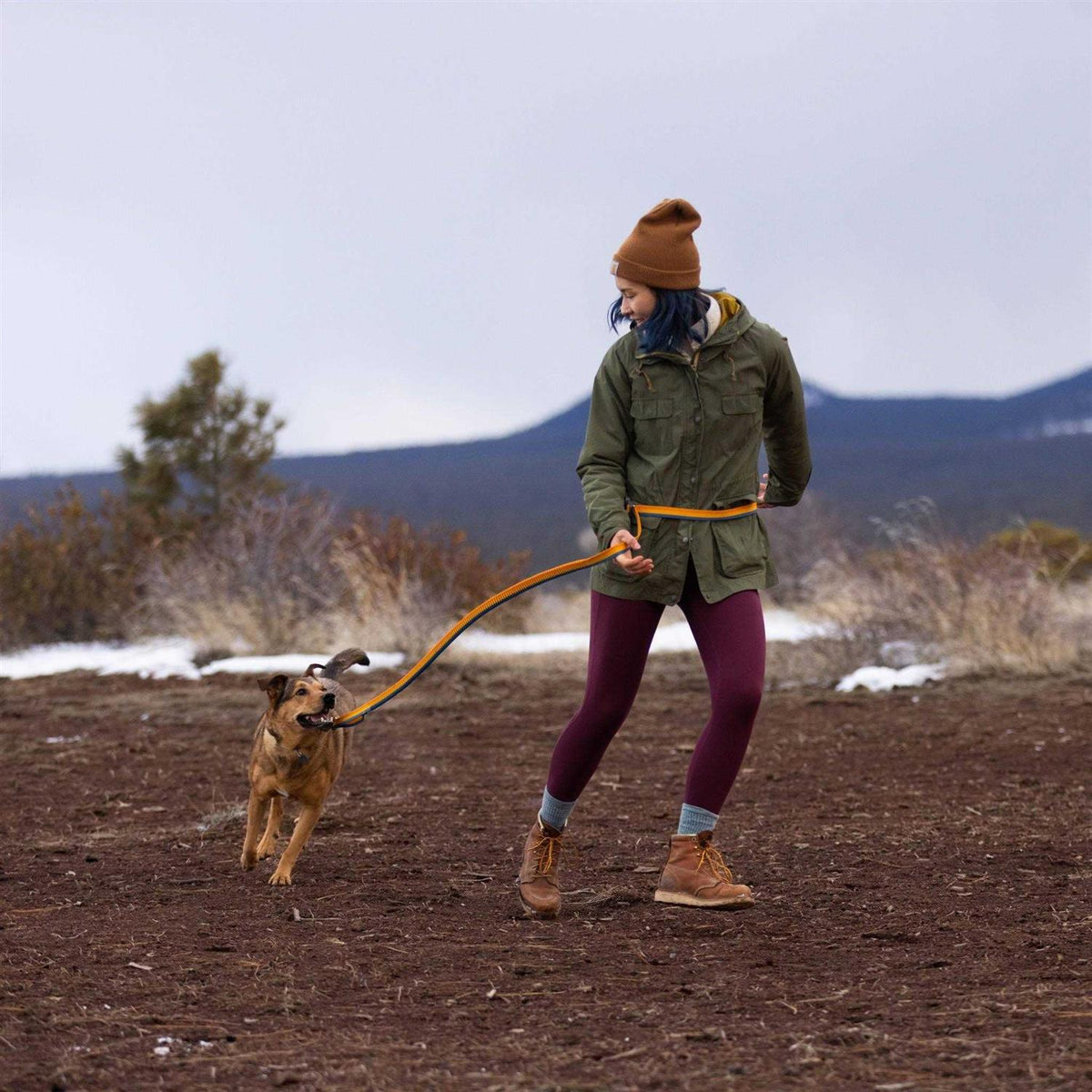 Leash P841766