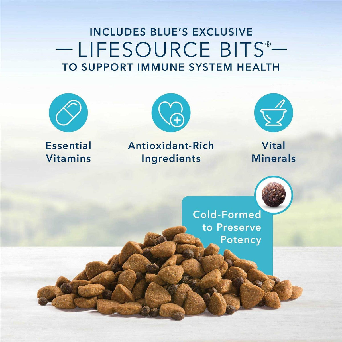 Large Breed Adult Lamb & Brown Rice Recipe Dry Dog Food R7506
