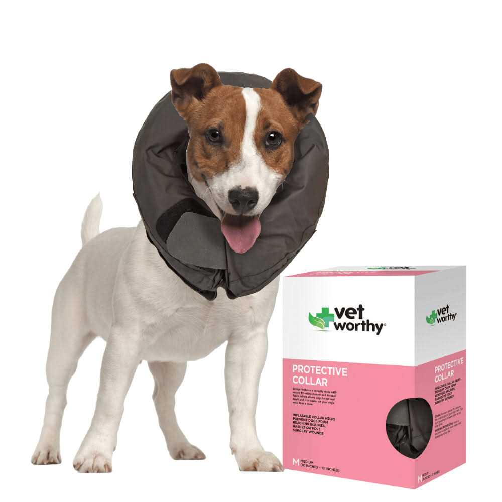 Inflatable Protective Dog Collar W820589