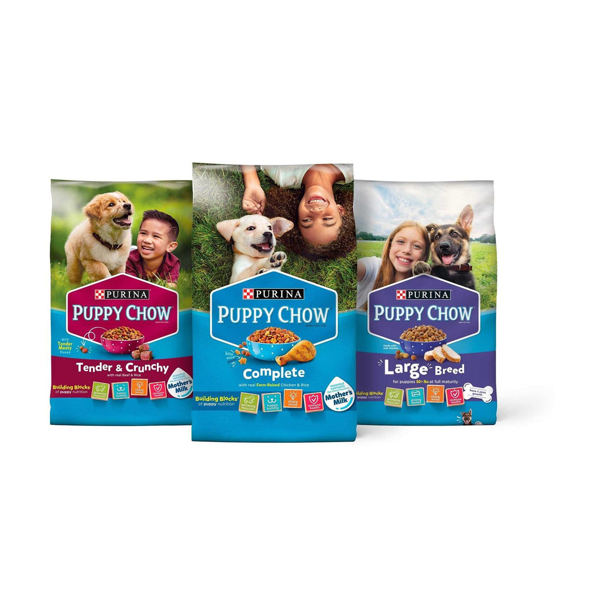 Dog Training Treats X260522