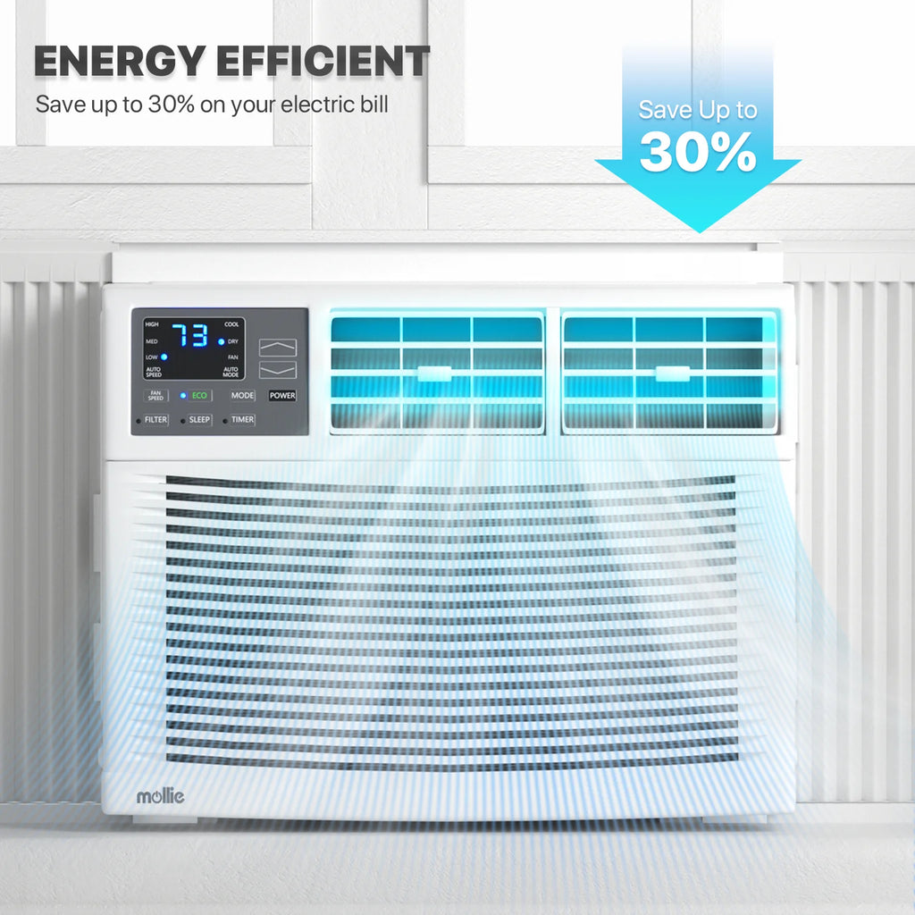 12,000 BTU 115V White Window Air Conditioner with Remote Control B125