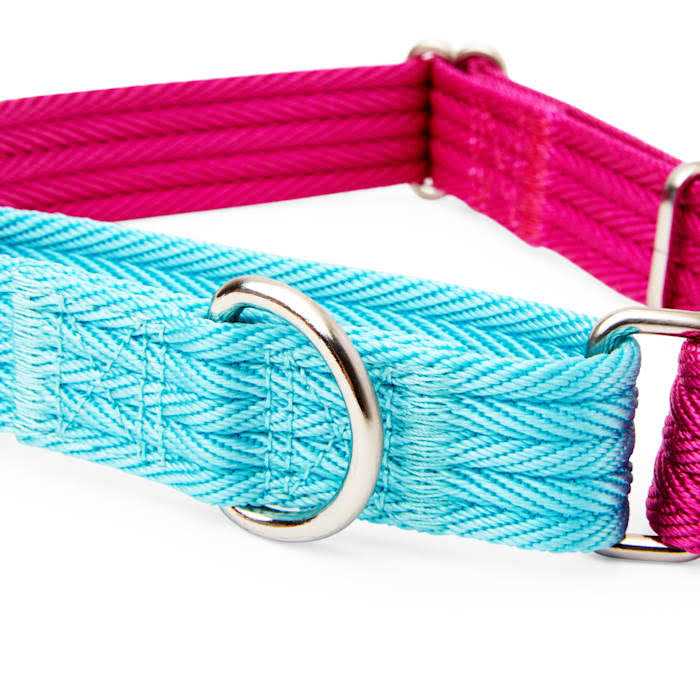 Teal Dog Collar X9146