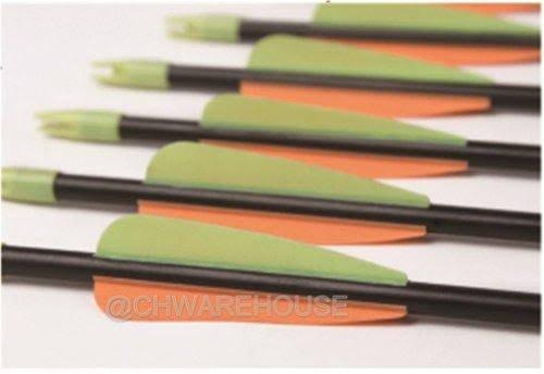 Fiberglass Target Practice Arrows with Nocks and Fletches, 61cm 1/2 Dozen Z855319