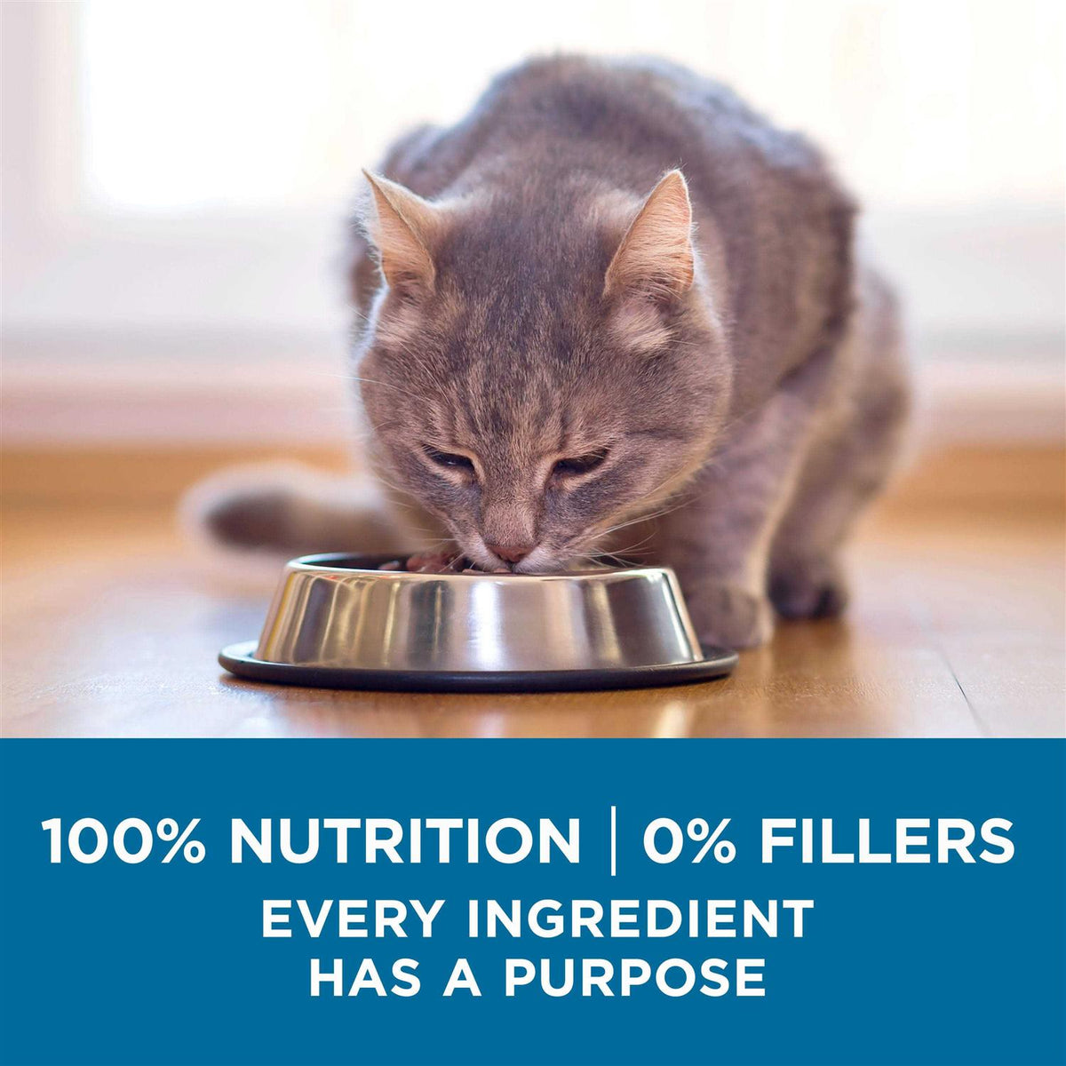 Senior Dry Cat Food F970