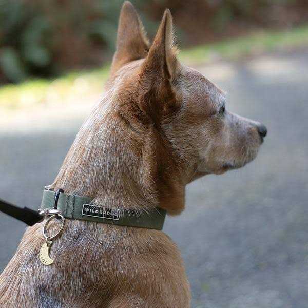 Waterproof Collar P7391