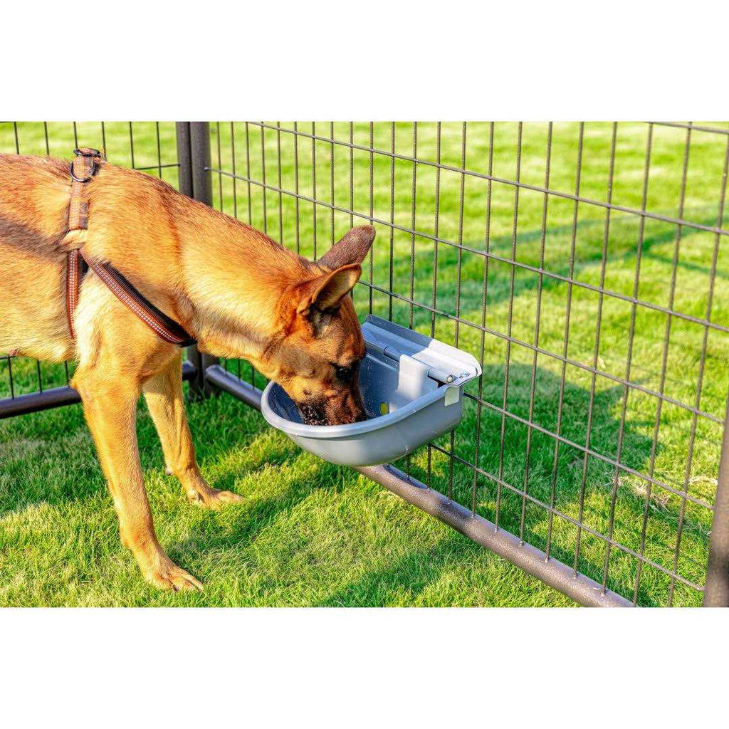 Pet Automatic Waterer K13419