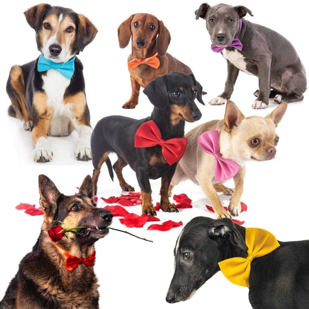 Dog Bow Ties with Adjustable Collar D496142
