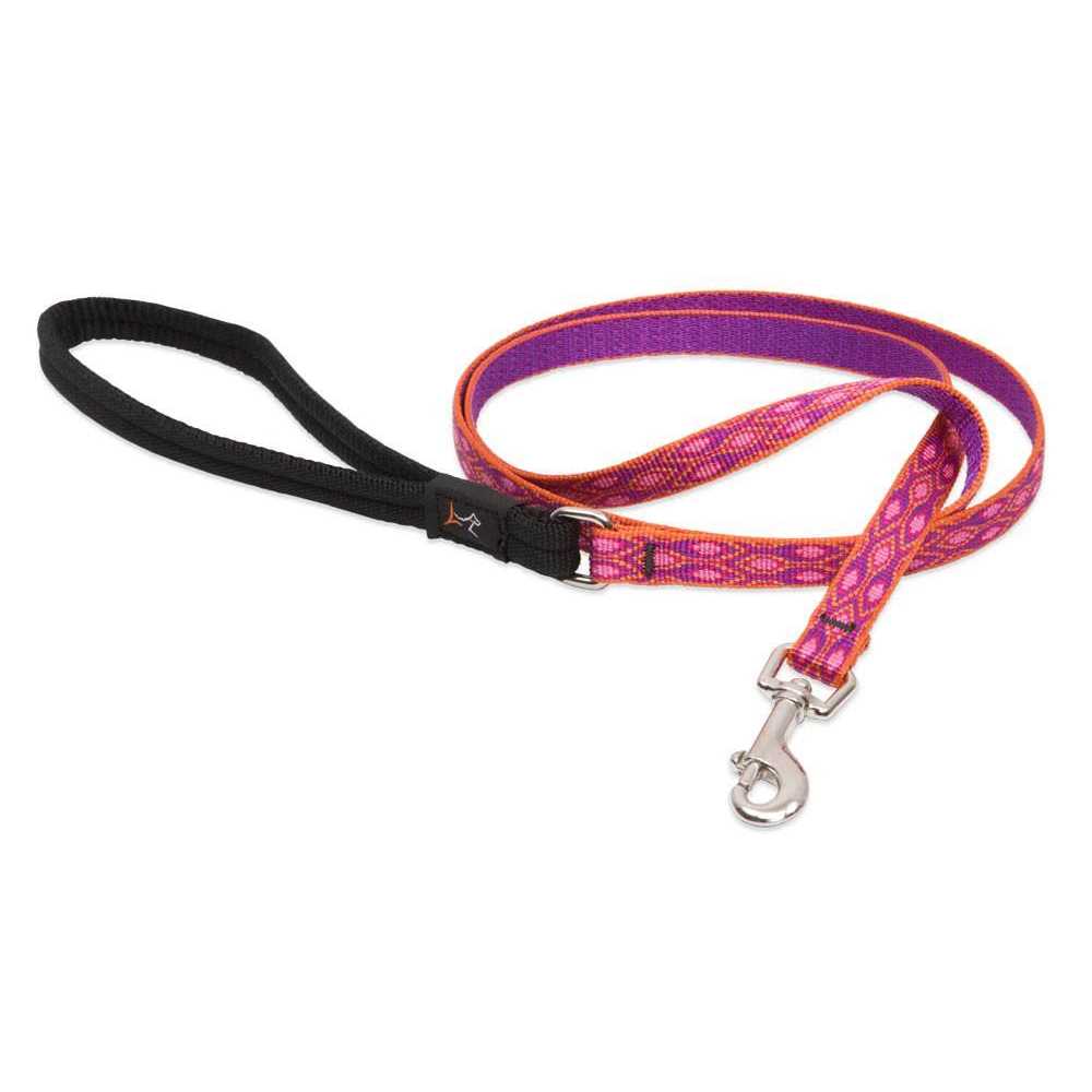 Cat Safety Collar S5559