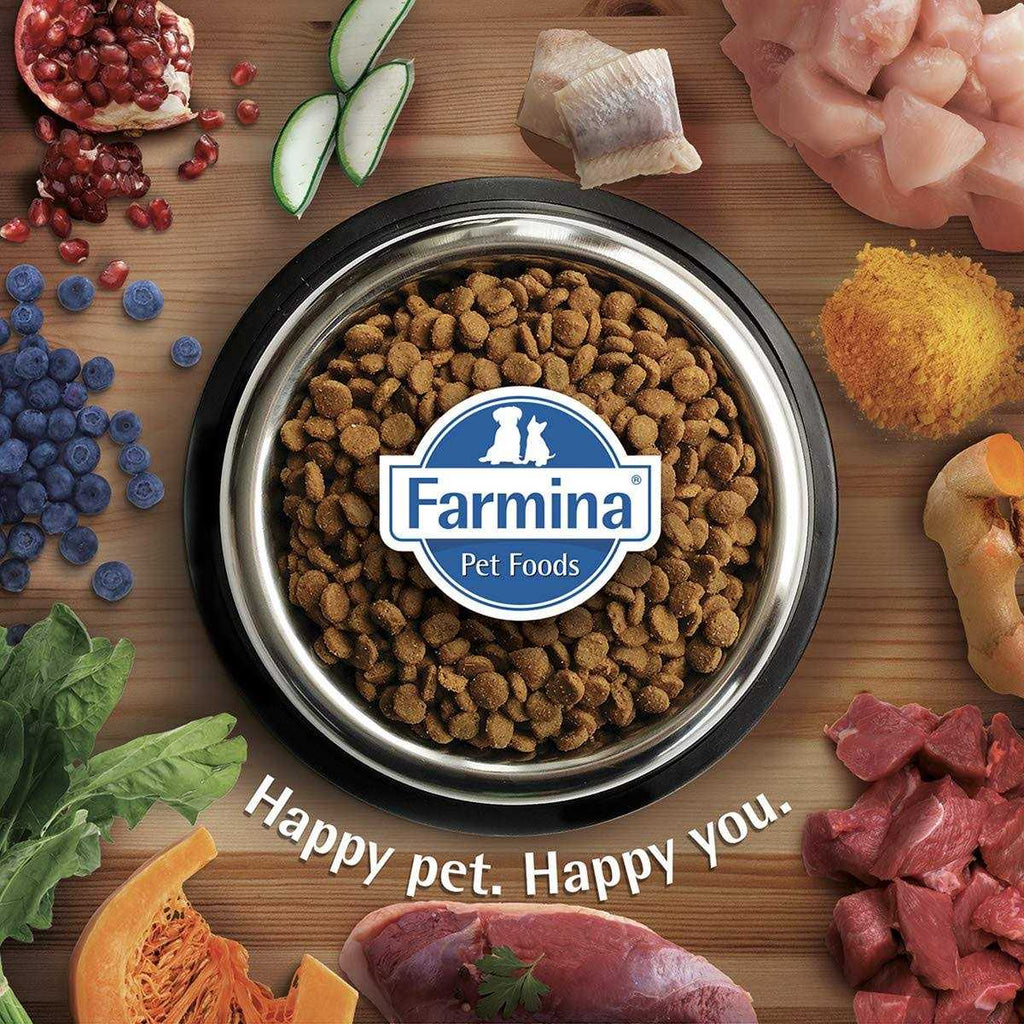 Chicken & Pomegranate Cat Dry Food I386