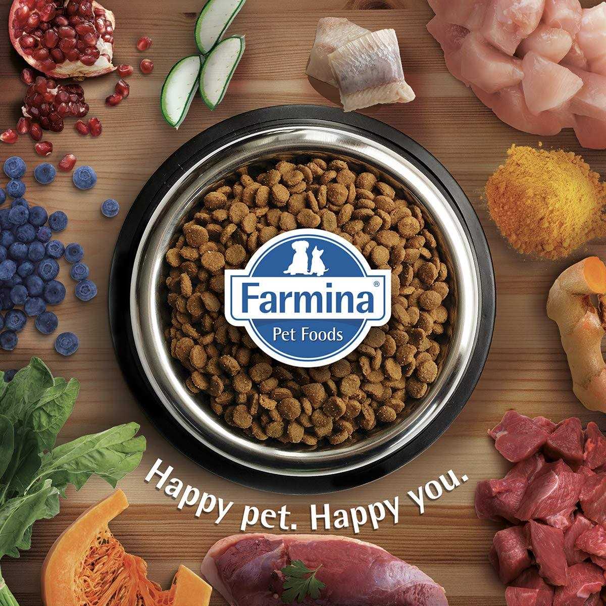 Chicken & Pomegranate Cat Dry Food I386