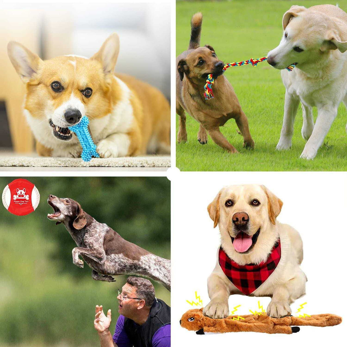 20 Pack Dog Puppy Chew Toys D200207