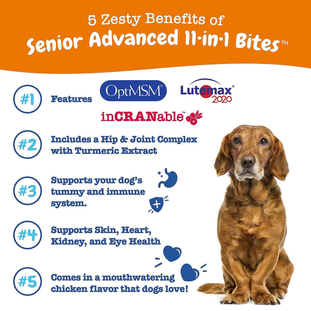 Multivitamin Bites for Dogs V24548