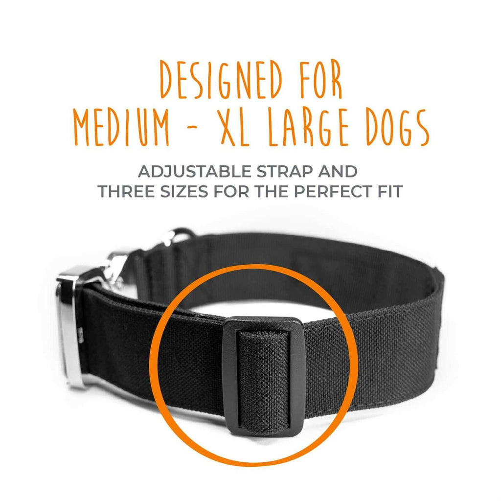 Heavy Duty Dog Collar with Metal Buckle W5033