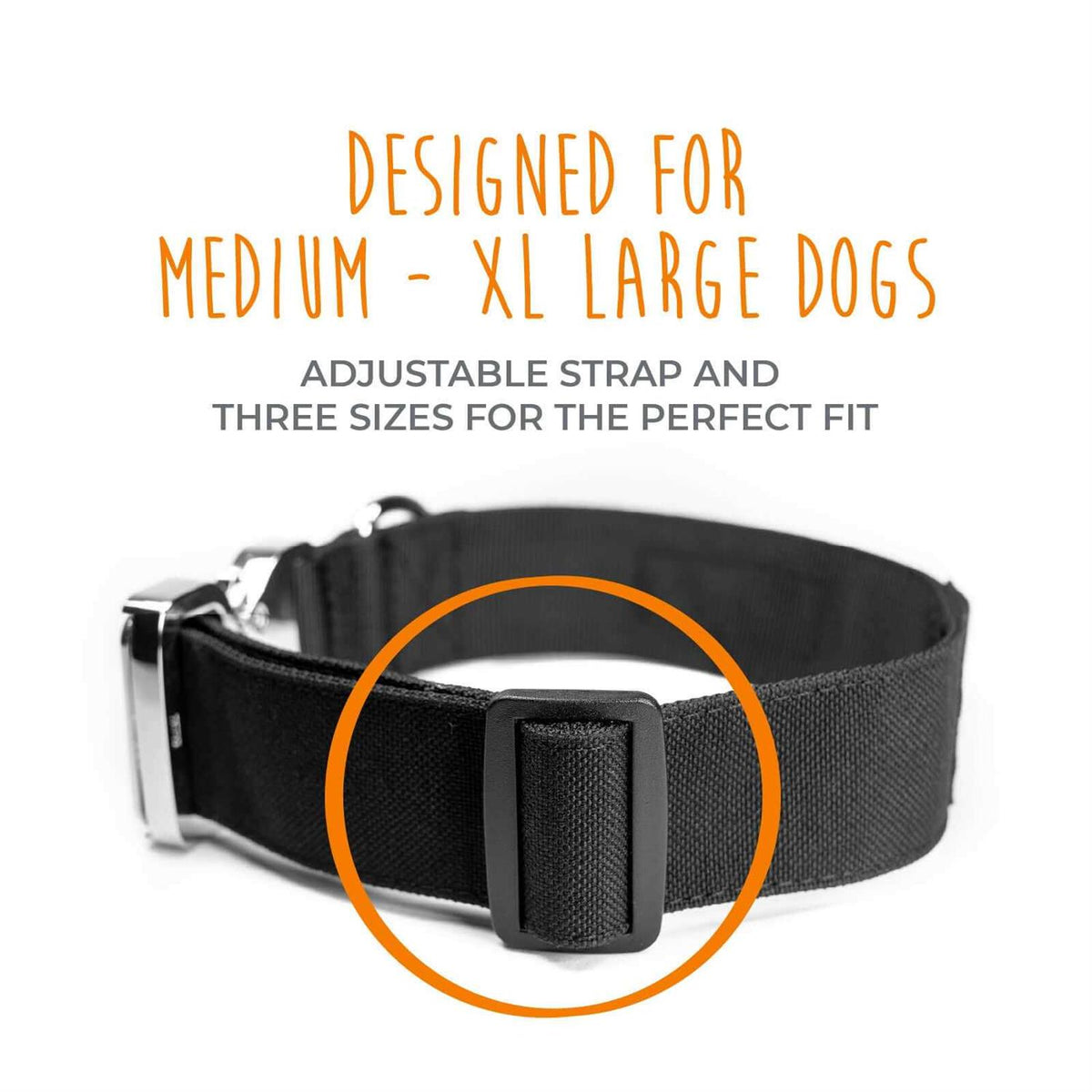 Heavy Duty Dog Collar with Metal Buckle W5033