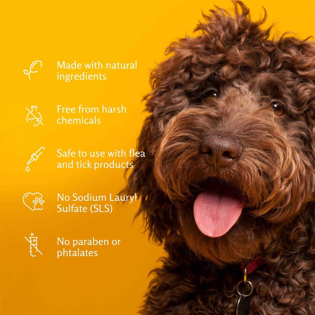 Deodorizing Spray for Dogs V5382