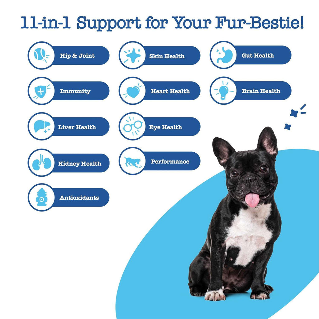 Multivitamin Bites for Dogs V24548