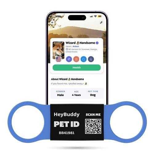 Noiseless QR Code Pet Tag Q784