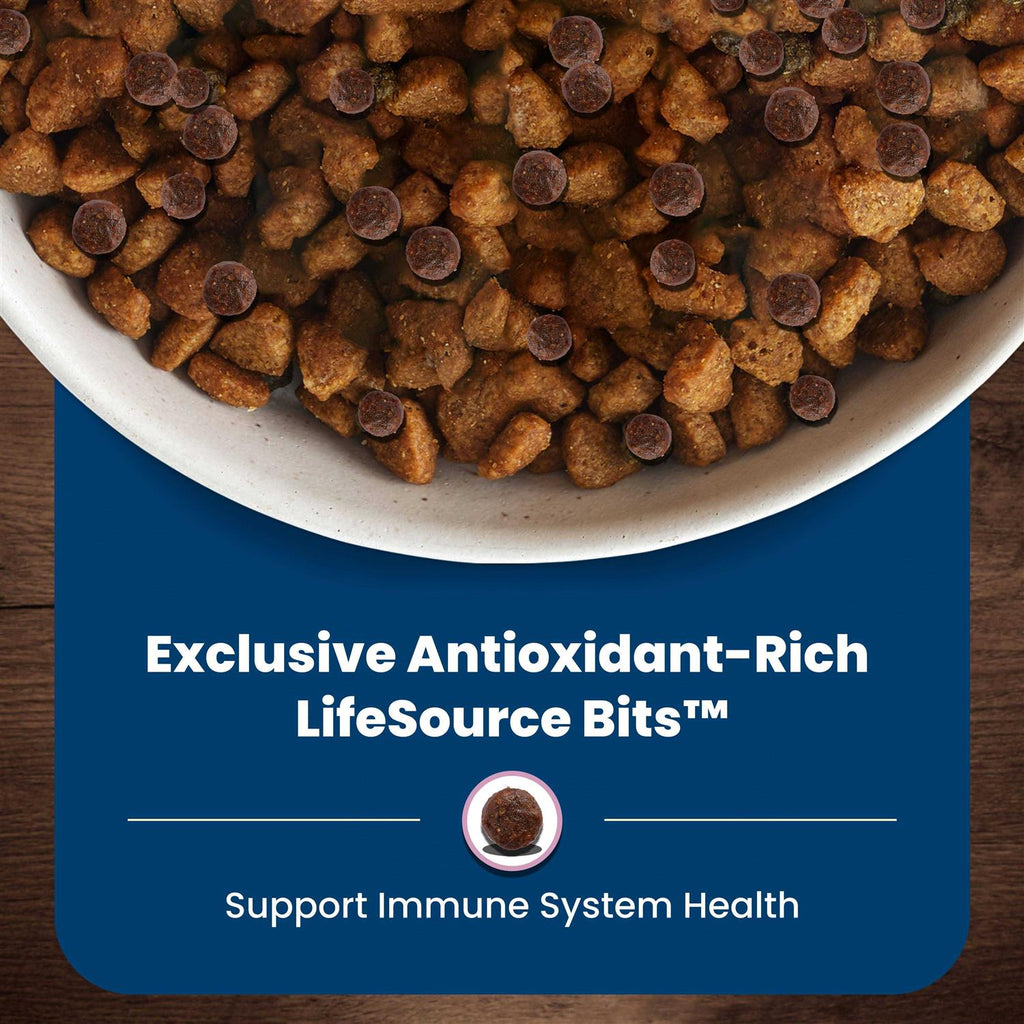 Large Breed Adult Lamb & Brown Rice Recipe Dry Dog Food R7506