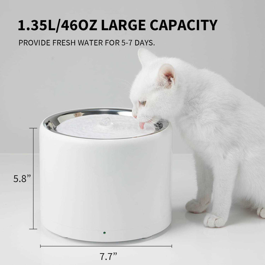 Pet Water Fountain K98884