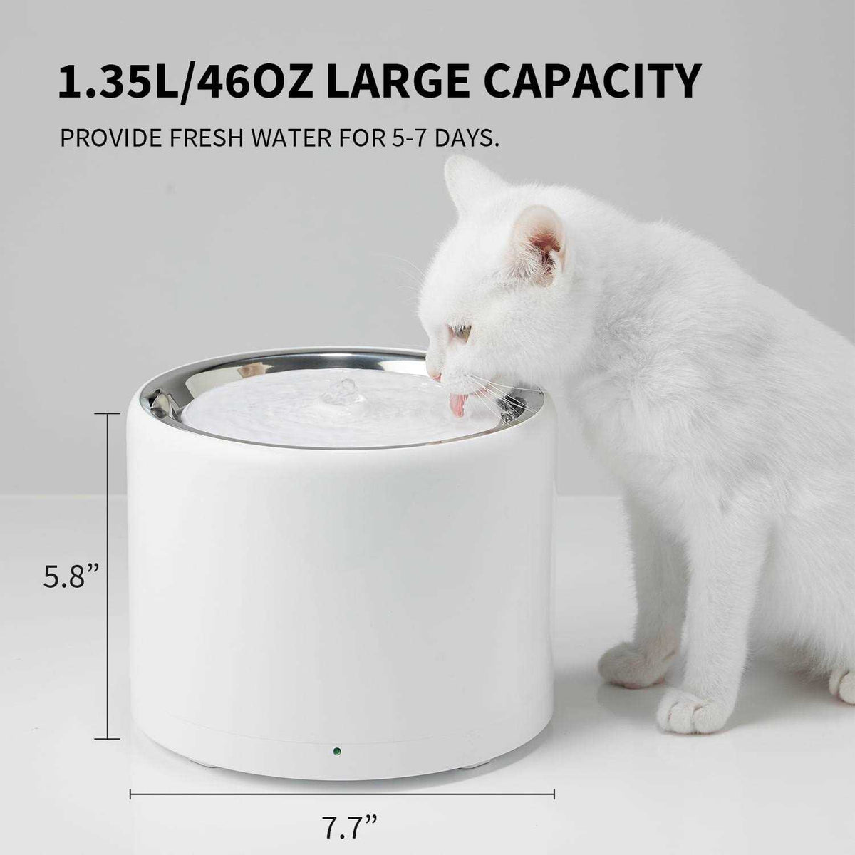 Pet Water Fountain K98884