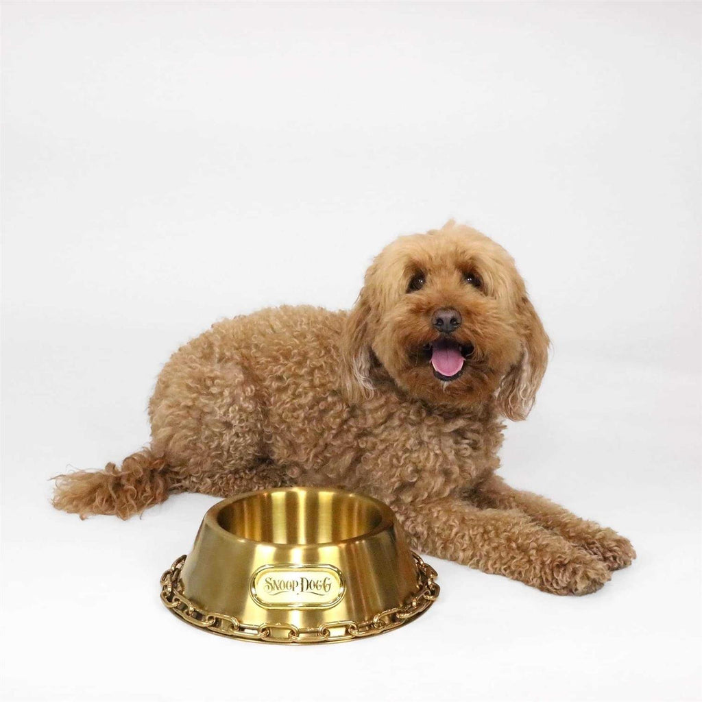 Dog Bowl M164