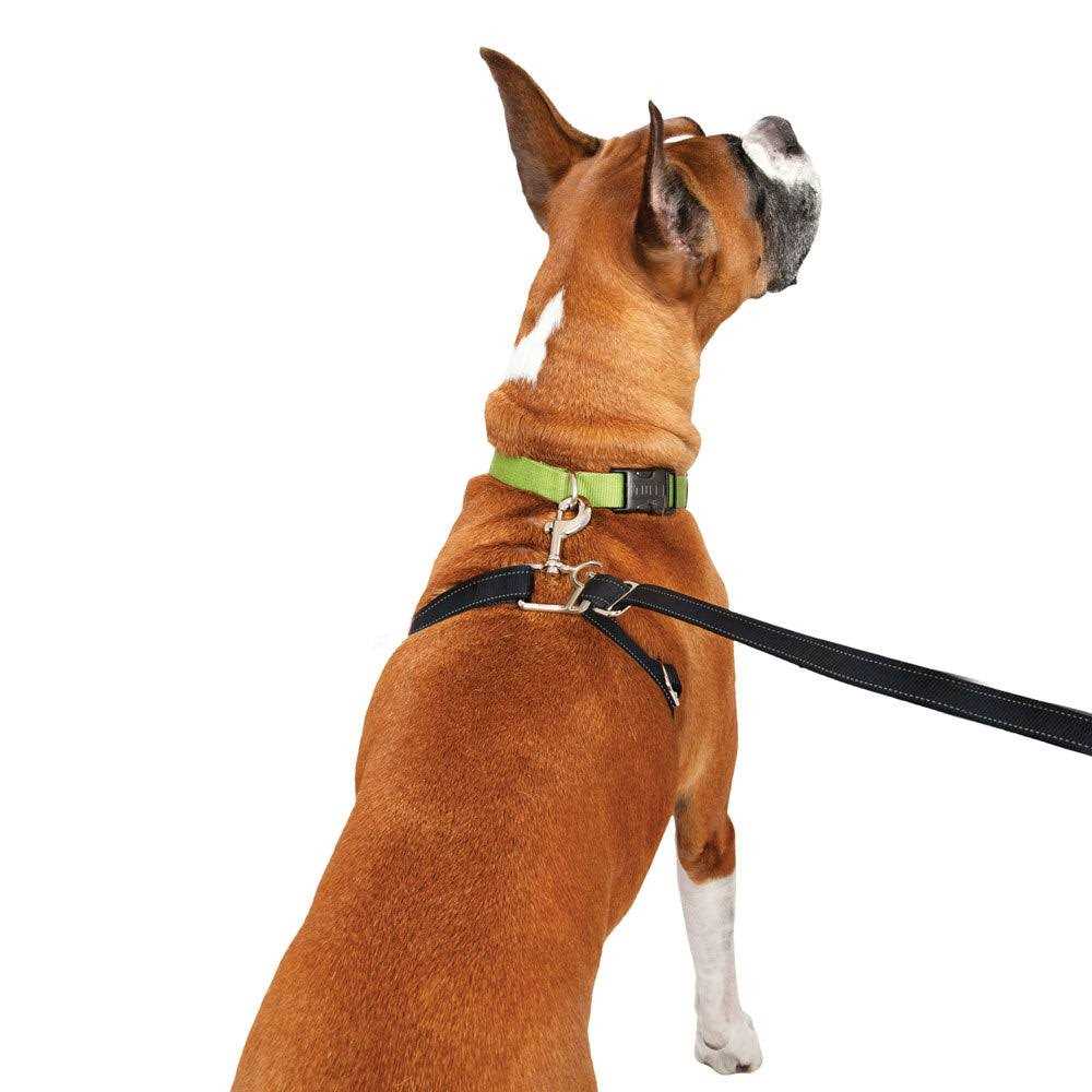 Retractable Dog Leash B884