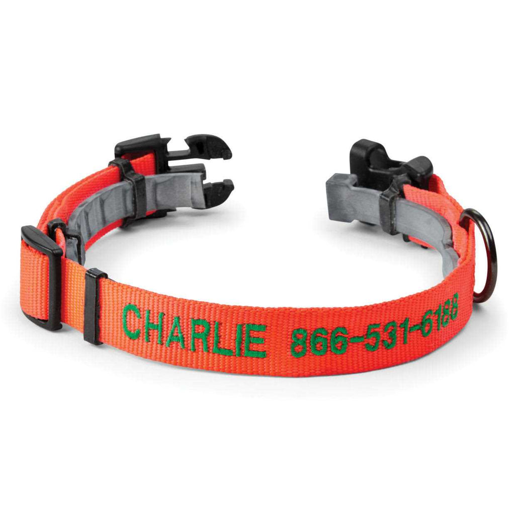 Personalized Flea and Tick Collar V7776