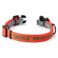 Personalized Flea and Tick Collar V7776