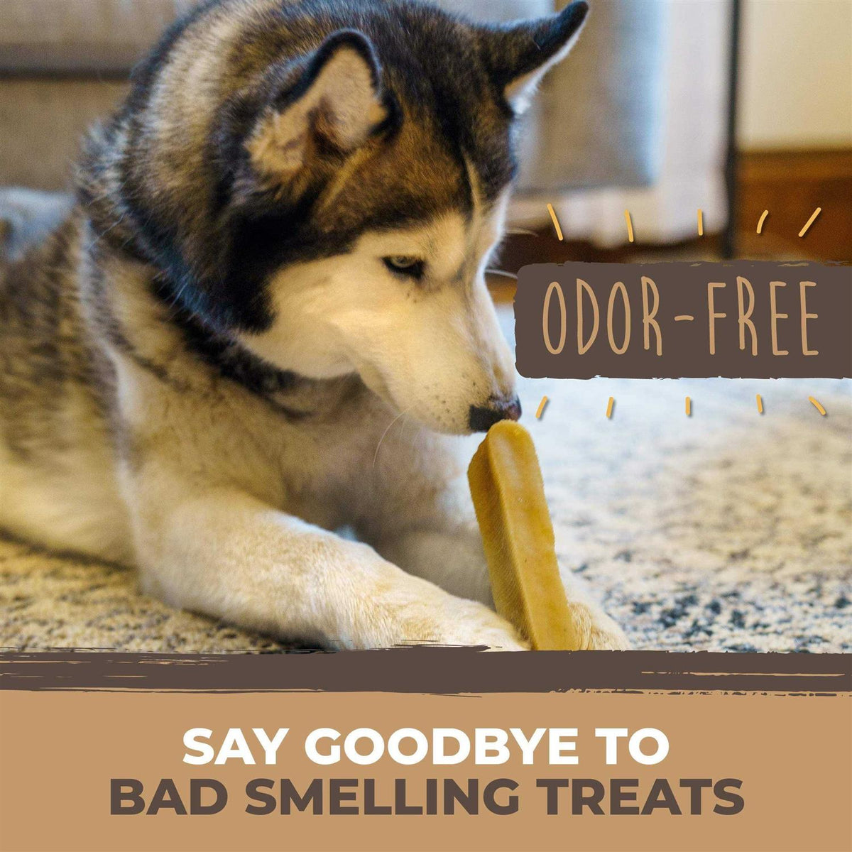 Yak Cheese Chews for Dogs All-Natural Long Lasting Pet Treats Y34894