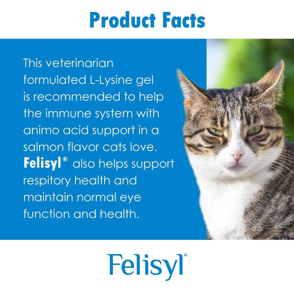 L-Lysine Granules for Cats D77990
