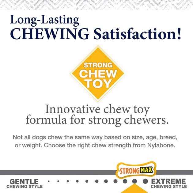 Strong Chew Wishbone Dog Toy J736574