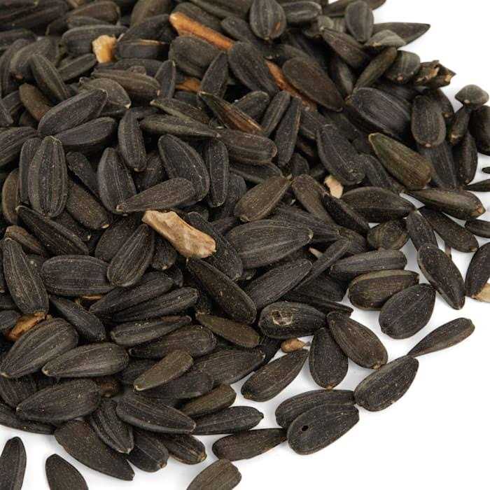 Black Oil Sunflower Seed Wild Bird Food V680