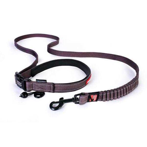 Road Runner Leash N472504