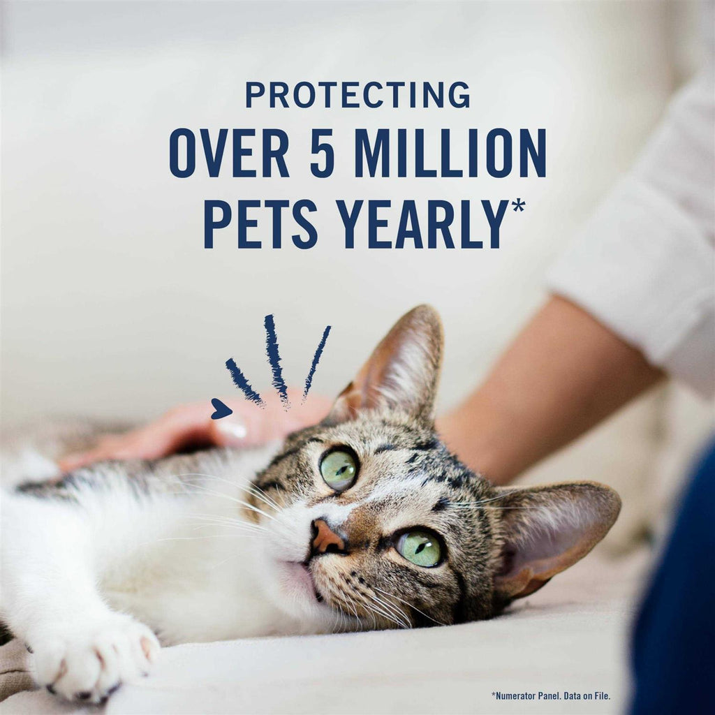 Flea and Tick Treatment for Cats W960649