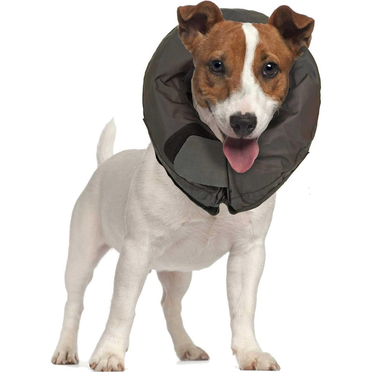 Inflatable Protective Dog Collar W820589